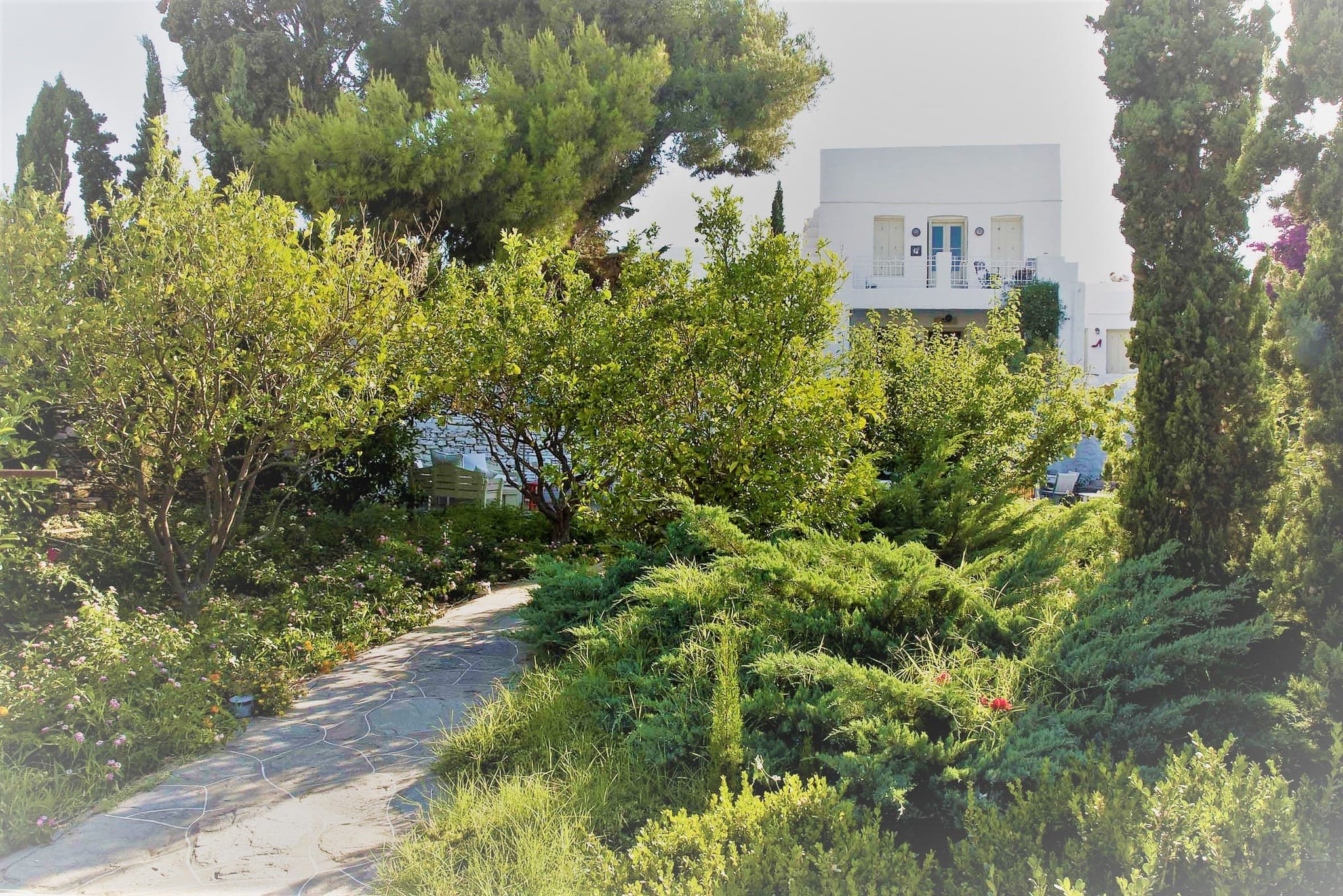 for sale New Development — Sifnos, photo 1