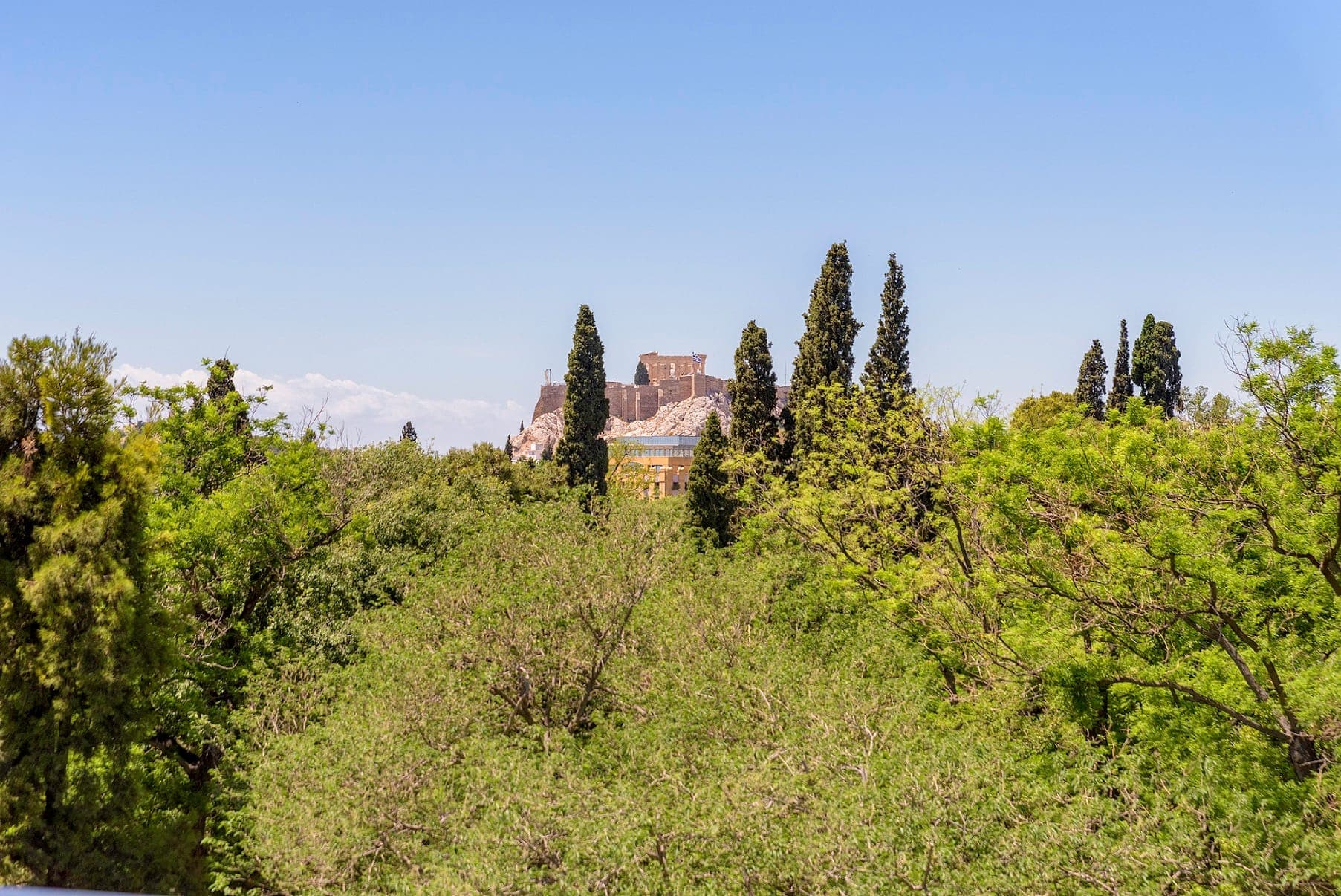 Διαμέρισμα προς ενοικίαση — Ανάκτορα, photo 1