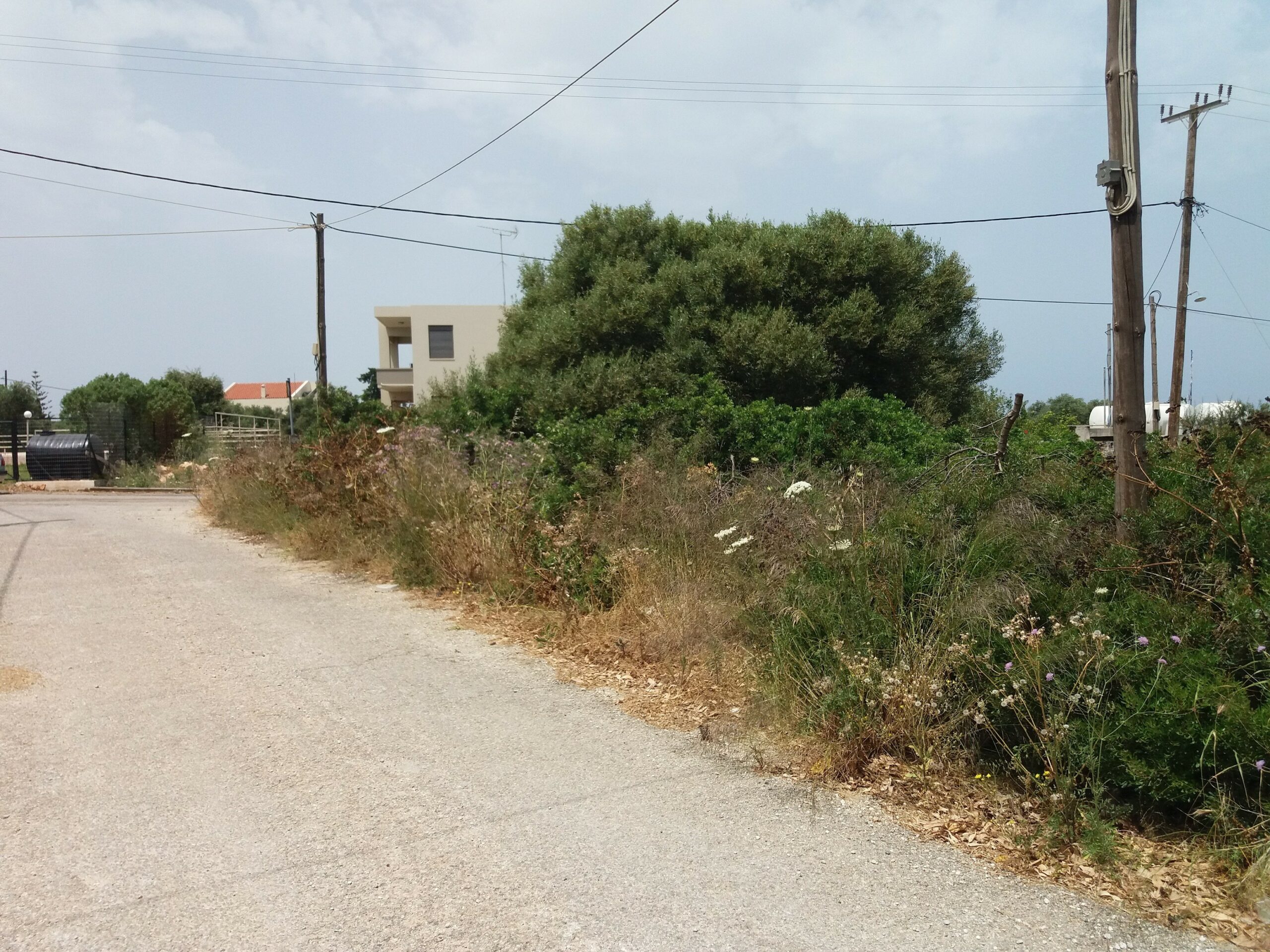 Chania  - Plots  - picture 4