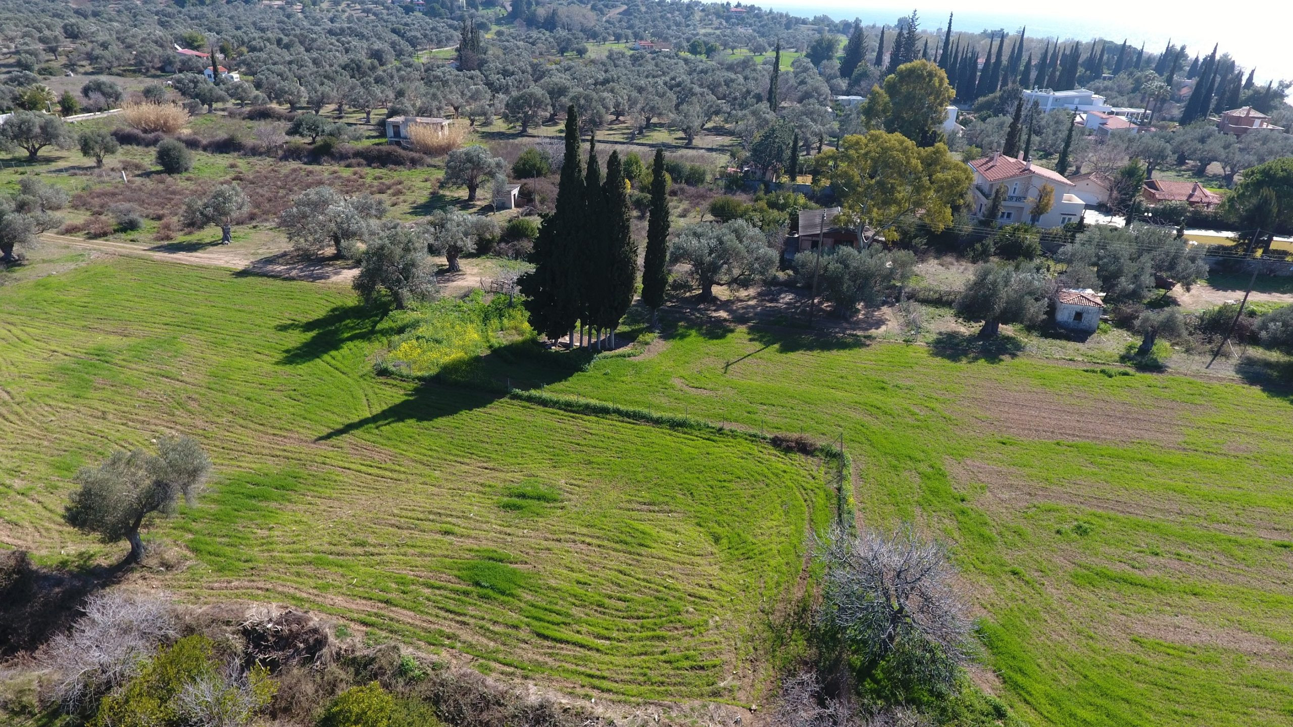 Plots Evia  -  ref GR-9116-S (picture 2)