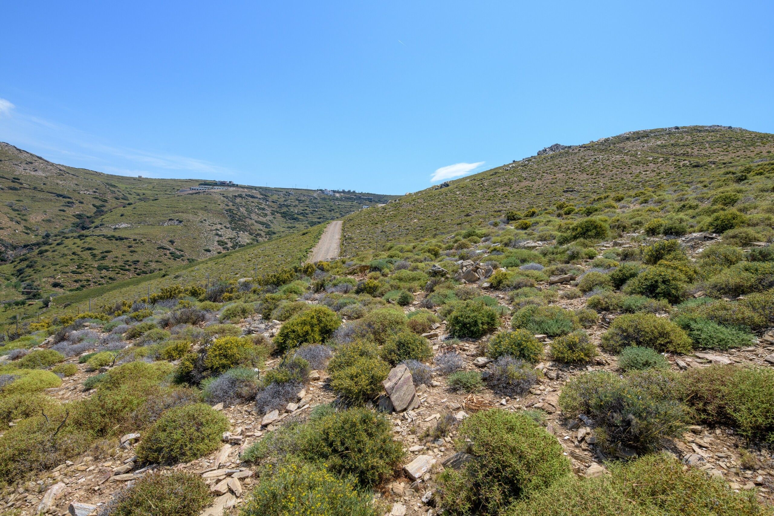 Andros  - Terrain  - picture 3