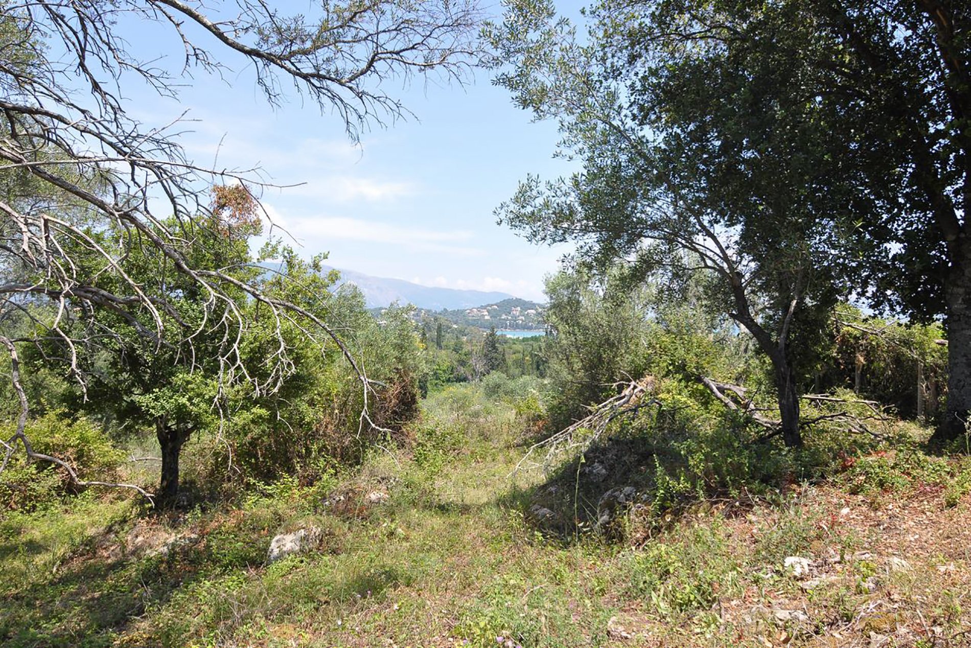 Corfu  - Terrain  - picture 3
